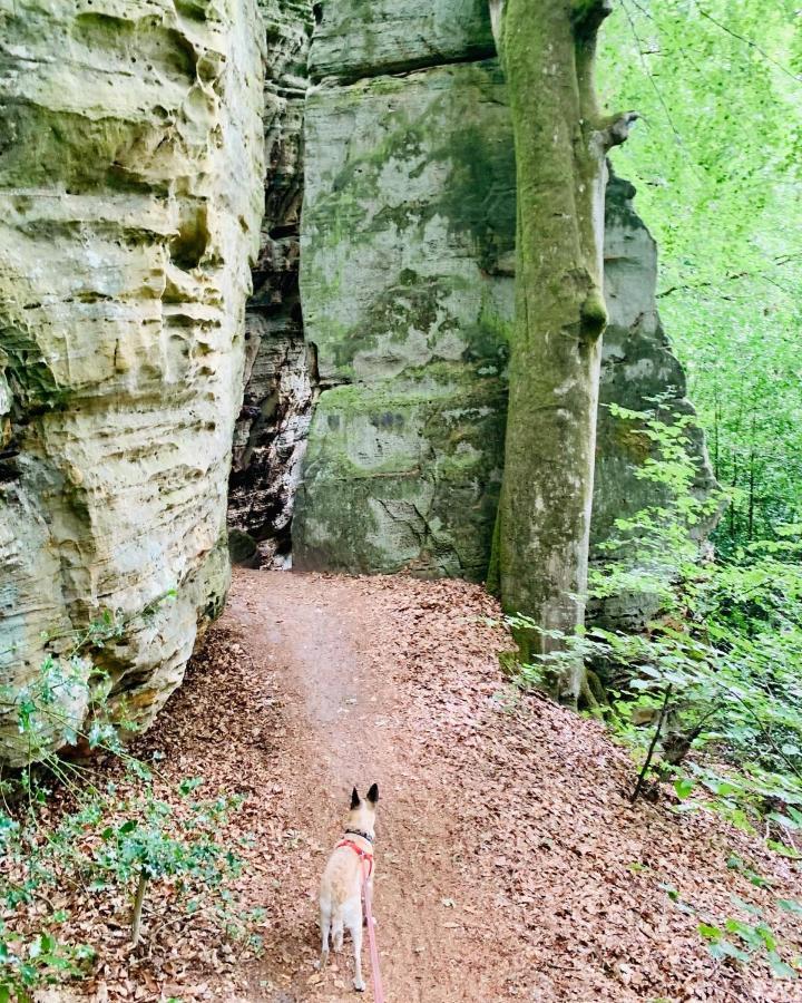 Tailor'S Trail Gite D'Adventure Beaufort Mullerthal Eksteriør billede